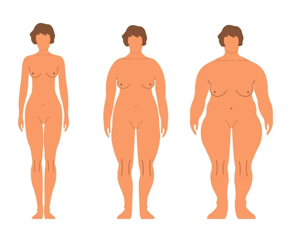 肥胖欧洲妇女。卡通风格。人的正面侧面剪影。在白色背景上隔离。矢量插图 — 图库矢量图片