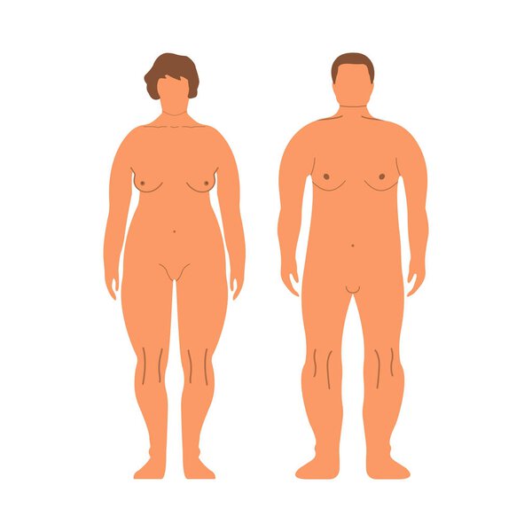 Толстые европейские женщины и мужчины. Карикатурный стиль. Человеческий силуэт спереди. Изолирован на белом фоне. Векторная иллюстрация
