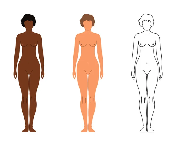 अफ्रीकी और यूरोपीय महिलाएं। कार्टून, रूपरेखा शैली। मानव सामने की ओर सिल्हूट। सफेद पृष्ठभूमि पर अलग। वेक्टर चित्र — स्टॉक वेक्टर