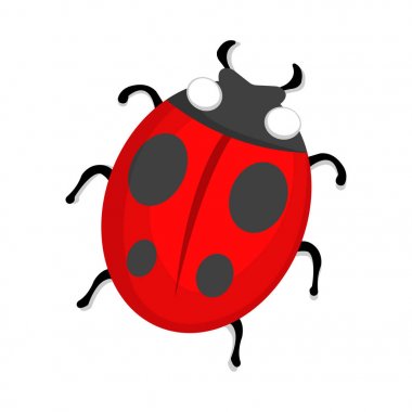 Uğur böceği simgesi. Sevgi ve beyaz arka plan üzerinde Web için hediyeler. Düz vektör çizim