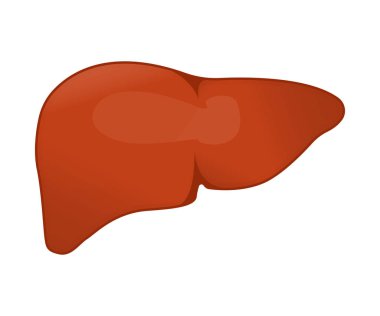 Karaciğer Kavramı Simgesi ve Etiketi. Sağlık Araştırma Sembolü, Simge ve Rozet. Çizgi film Vektör illüstrasyonu