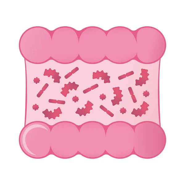 Βακτήρια επίθεση intestine έννοια εικονίδιο και την ετικέτα. Σύμβολο έρευνας υγείας, εικονίδιο και σήμα. Εικονογράφηση διάνυσμα κινουμένων σχεδίων — Διανυσματικό Αρχείο