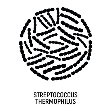 Streptococcus Thermophilus Simgesi. Probiyotik Kavram Logosu ve Etiketi. Sağlık Araştırma Sembolü, Simge ve Rozet. Basit ve Siyah Vektör illüstrasyonu