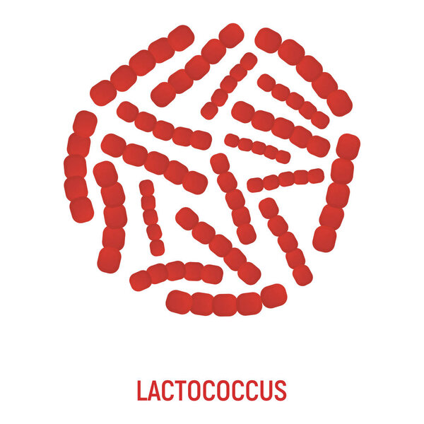 Икона Лактококка. Пробиотики и этикетки. Символ исследования здоровья, икона и значок. Мультфильм-векторная иллюстрация
