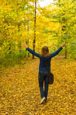 Sonbahar ormanlarında sarı yapraklar güzel arka planda