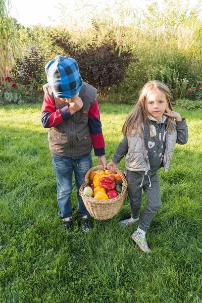 Kinder spielen im Garten auf dem Rasen. — Stockfoto