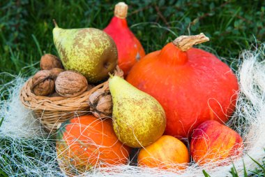 Kabak elma armut fındık yeşil çimenlerin üzerinde