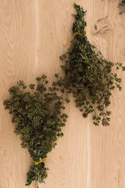 Set of herbs on a wooden background — Stock Photo, Image