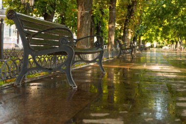 Yeşil Yaz Şehir Parkı sabah