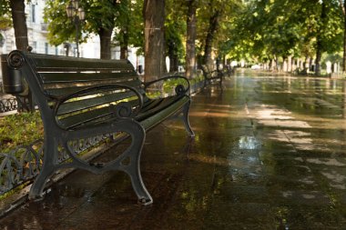 Yeşil Yaz Şehir Parkı sabah