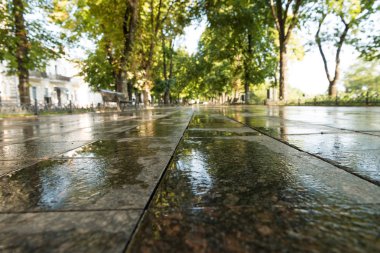 Yeşil Yaz Şehir Parkı sabah