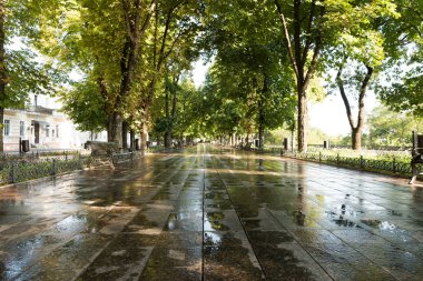 Yeşil Yaz Şehir Parkı sabah