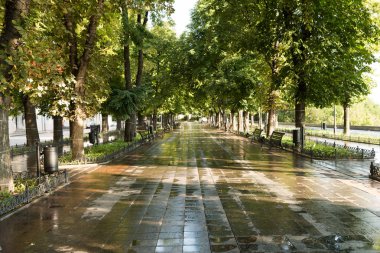 Yeşil Yaz Şehir Parkı sabah