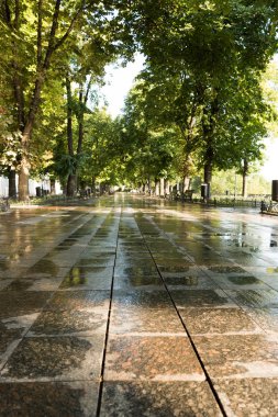 Yeşil Yaz Şehir Parkı sabah