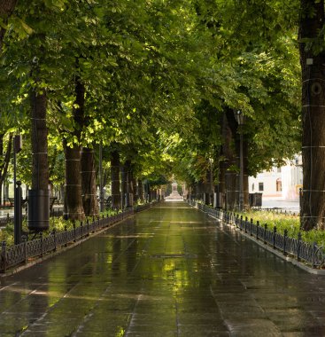 Yeşil Yaz Şehir Parkı sabah