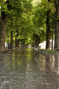 Yeşil Yaz Şehir Parkı sabah