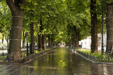 Yeşil Yaz Şehir Parkı sabah