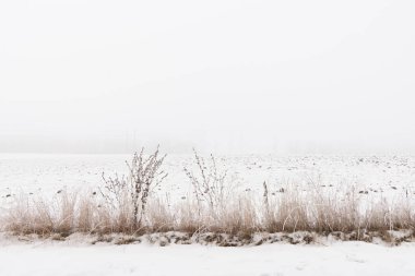 puslu kış aylarında kar alan