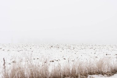 puslu kış aylarında kar alan