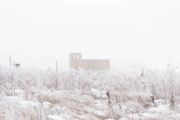 Inverno nebbioso nel campo di neve — Foto Stock