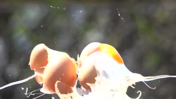 卵の爆発のスロー モーション ビデオの Hd — ストック動画