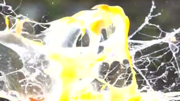 Eier Explosion Zeitlupe hd video — Stockvideo