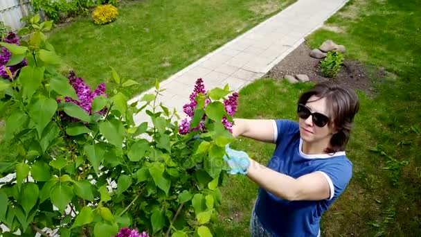 A menina no jardim corta a flor lilás — Vídeo de Stock