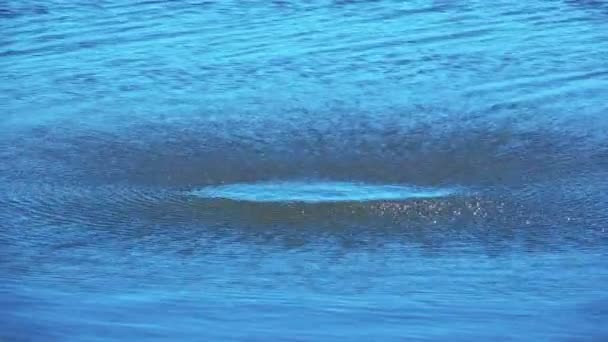 Atterrissage du quadrocopter de drone sur l'eau — Video