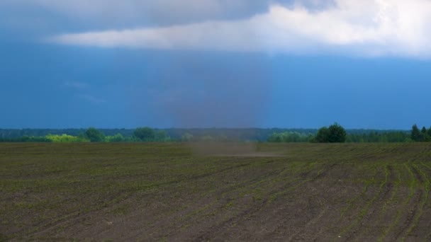 Mini tornado in het veld — Stockvideo