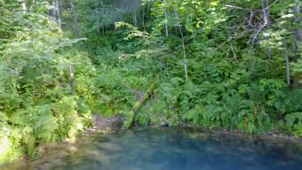 Magnifique mini cascade dans la montagne sub montagne 