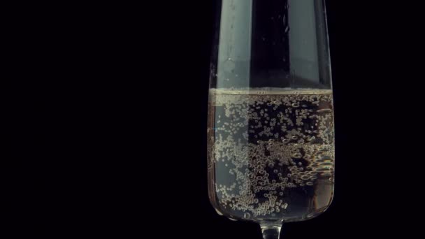 Champagnerglas dreht sich auf schwarzem Hintergrund — Stockvideo