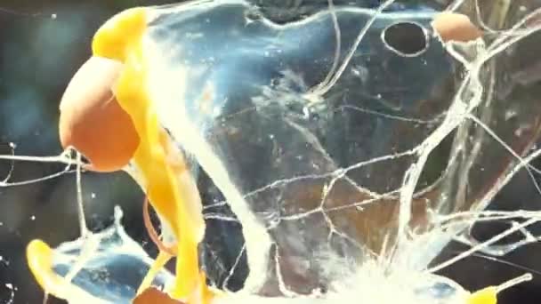 oeuf de poulet se brise d'une balle 