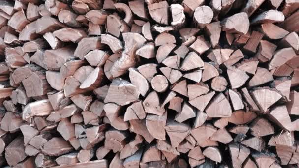 Panoramic shot of a large pile of firewood — Stock Video