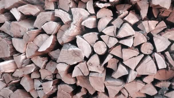 Panoramic shot of a large pile of firewood — Stock Video