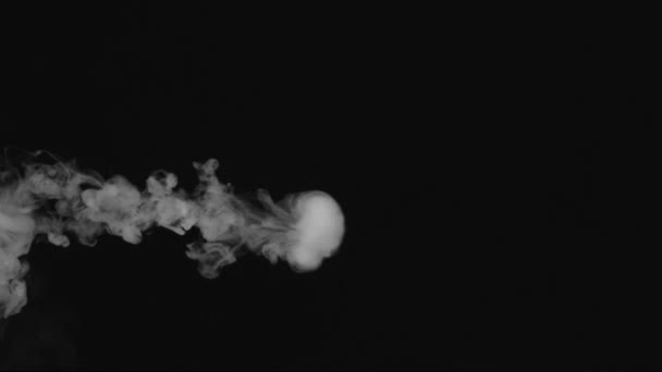 Füstgyűrűket fúj fekete háttérrel — Stock videók