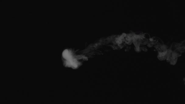 Blows smoke rings on a black background — Stock Video