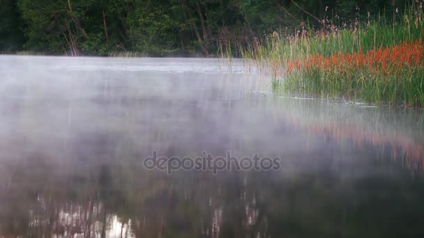 Beau lac brumeux en Finlande — Video