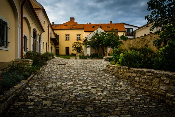 Кутна-Гора в Чехии — стоковое фото
