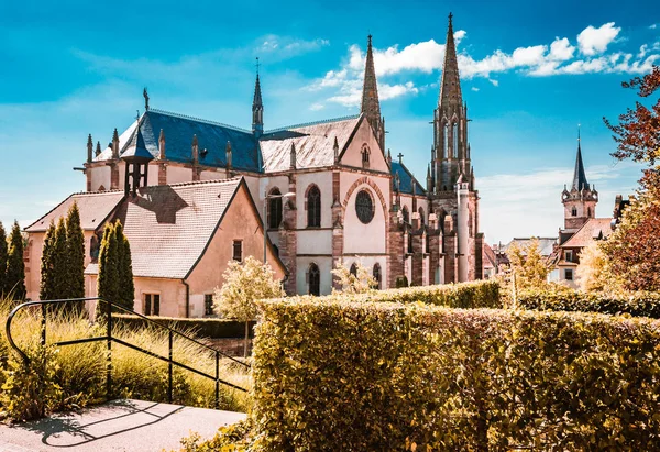 Bela vista da cidade de Obernai na região da Alsácia, na França, no verão — Fotografia de Stock