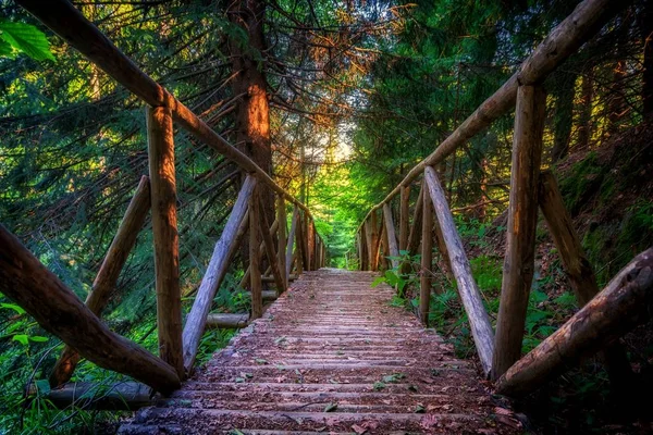 Mosty, wodospady i ścieżek w parku Forrest Narodowy Witosza w Sofii — Zdjęcie stockowe