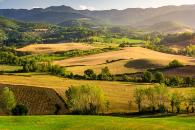 Yaz aylarında Barberino di Mugello Tuscany bölgesi içinde Tuscany alan güzel manzaralı çarpıcı