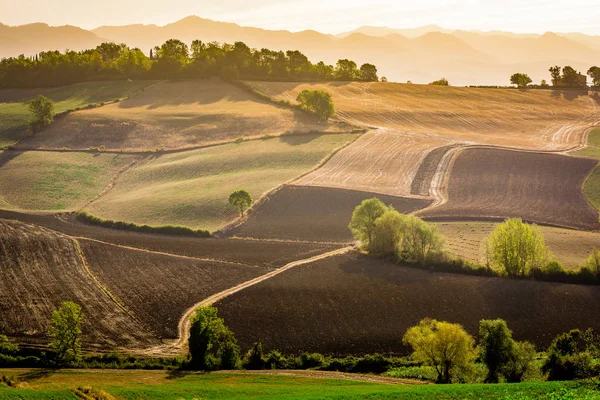 Stunning beautiful landscape view of Tuscany fields at Barberino di Mugello in the Italian region Tuscany in summer — Stock Photo, Image