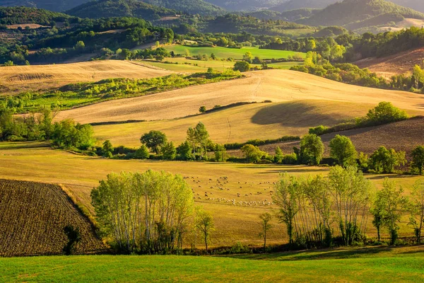 Prachtig uitzicht van het mooie landschap van Tuscany velden in Barberino di Mugello in de Italiaanse regio Toscane, in de zomer — Stockfoto