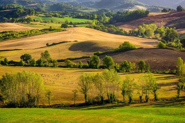 Stunning beautiful landscape view of Tuscany fields at Barberino di Mugello in the Italian region Tuscany in summer — Stock Photo, Image