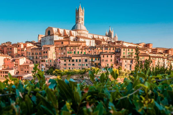 Paesaggio di Siena, un bellissimo borgo medievale in Toscana con vista sul Duomo e sul Campanile di Siena — Foto Stock
