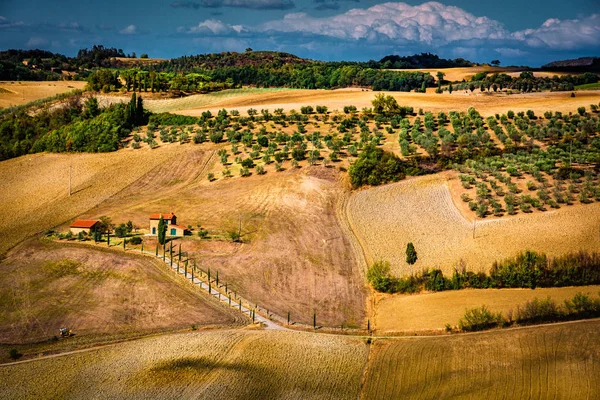 Beautiful rural landscape in Tuscany Italy with hills and meadow — Stock Photo, Image