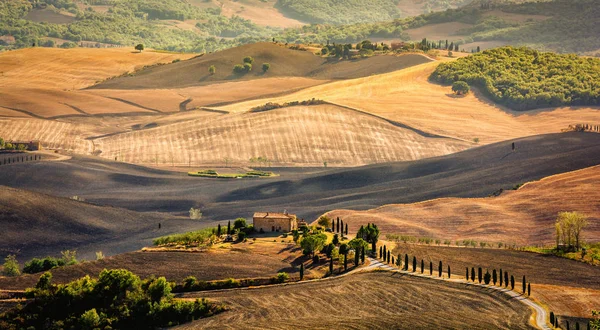 Beautiful rural landscape in Tuscany Italy with hills and meadow — Stock Photo, Image