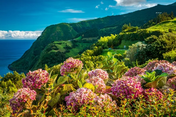 Prachtig uitzicht over de groene heuvels, weiden en bergen van Sao Miguel Island in Azoren, Portugal — Stockfoto