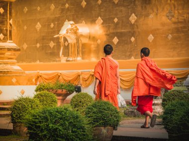Budist rahipler yürümek Budist tapınağı Chiang Mai, Tayland tarihinde bir gündoğumu