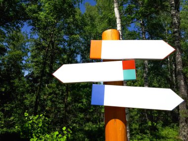 Ormanda yön göstergesi, yürüyüş, seyahat, park, yer, dönüş sinyalleri, ahşap bir direkte üç yeni tabela